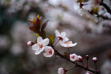 《无限试驾：太阳王冠》已在Steam正式发售 总体评价为褒贬不一